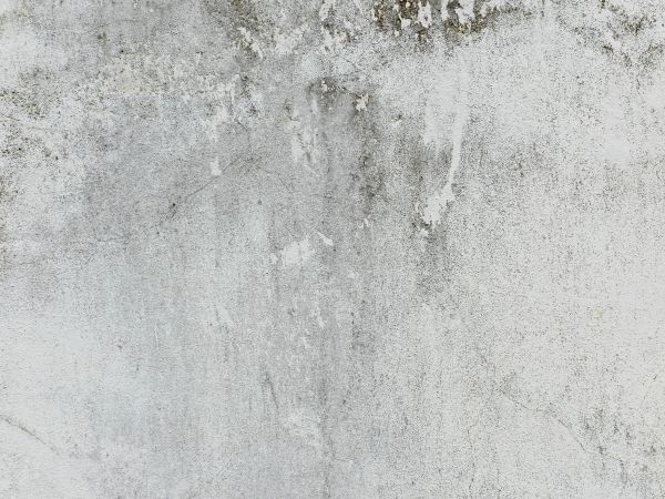 branco,textura,chão,parede,asfalto,Rachadura