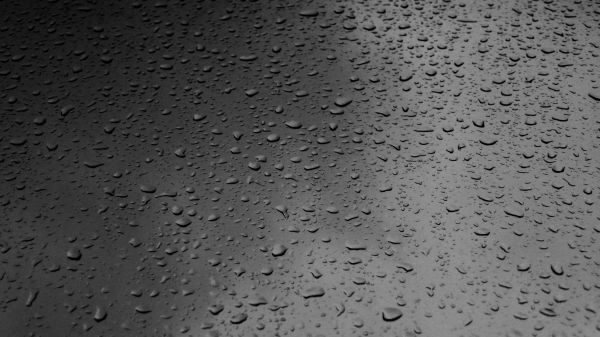 droplet, drop, dew, liquid, black and white, texture