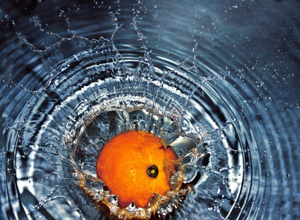 acqua,far cadere,frutta,arancia,rugiada,fotografia