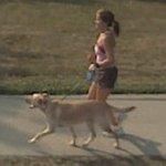 Taking the dog out for a jog