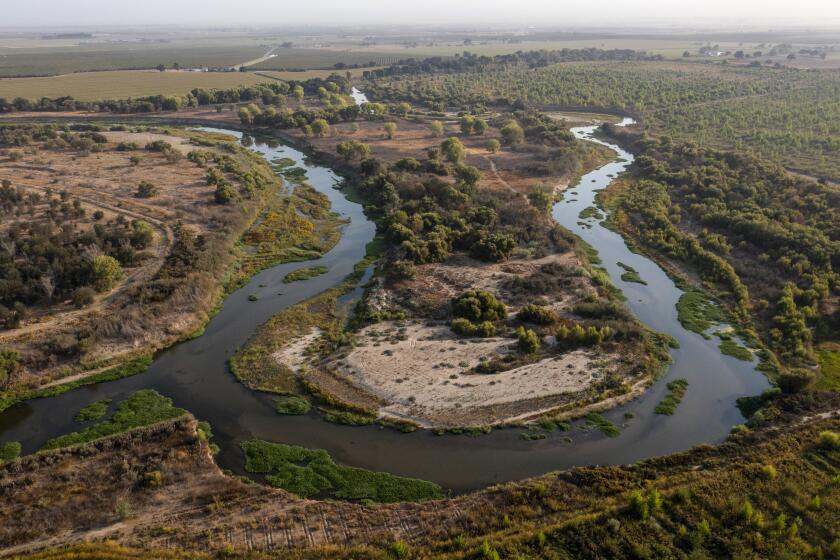 MODESTO, CA - September 21, 2021: The confluence of the San Joaquin River, left, and Tuolumne River, right, along the Dos Rios Ranch Tuesday, Sept. 21, 2021 in Modesto, CA. (Brian van der Brug / Los Angeles Times)