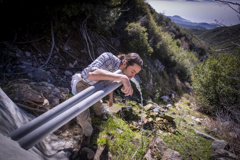 Rimforest, CA - December 04: Activist Bridger Zadina drinks from a pipe where water drains into a creek bed beside a water collection tunnel in the San Bernardino National Forest. He and other activists have been demanding that the company BlueTriton Brands stop piping water from the national forest to sell as Arrowhead brand bottled water. Photos taken in San Bernardino National Forest on Saturday, Dec. 4, 2021, near Rimforest, CA. (Allen J. Schaben / Los Angeles Times)