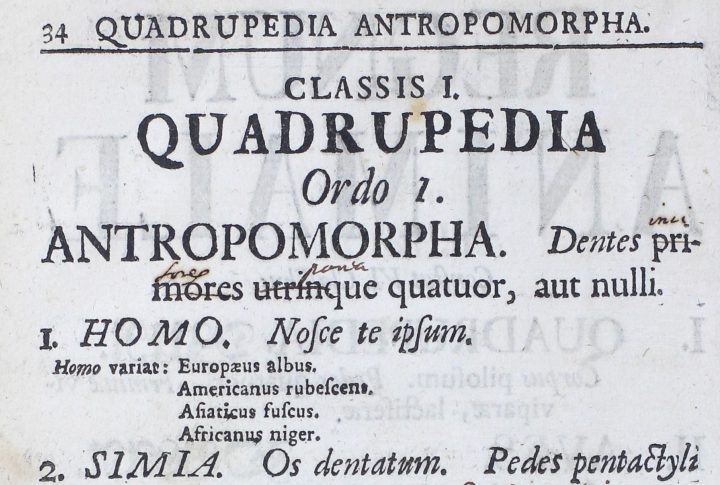 Systema Naturae 1740 Quadrupedia