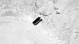 Российский дрон-разведчик снял убийство всушников сослуживцами