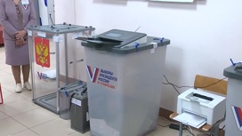 Иностранные наблюдатели, посетившие выборы в РФ, столкнулись с травлей на родине