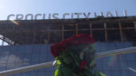 Трагедия в "Крокус Сити Холле": скорбим и будем помнить всегда