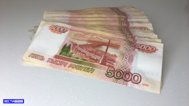 Томичка погасила долг по алиментам в размере почти 2 млн рублей