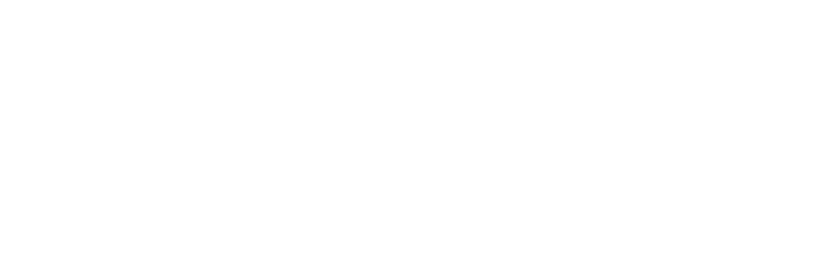 New Muse Logo