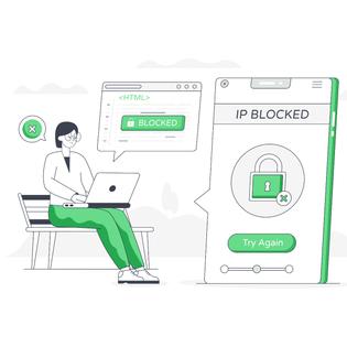 Cartoon in green and white of woman sitting typing on laptop with zoomed in screen showing &quot;ip blocked&quot;