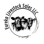 Eureka Livestock Sales LLC thumbnail