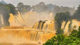 Rare golden waterfall wows spectactors in dazzling display