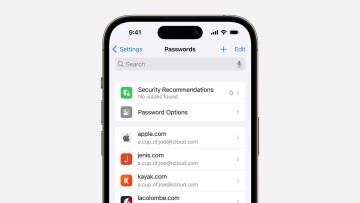 Apple iCloud Passwords on iPhone