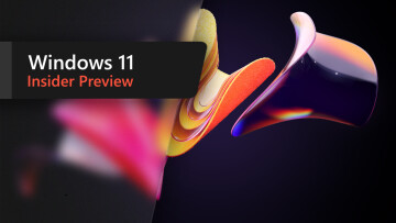 A Windows 11 Insider Preview banner