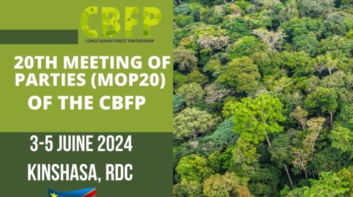 Event banner of the 20th Meeting of Parties of the Congo Basin Forest Partnership.