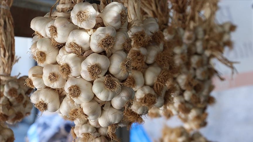 EU grants Turkish garlic geographical indication