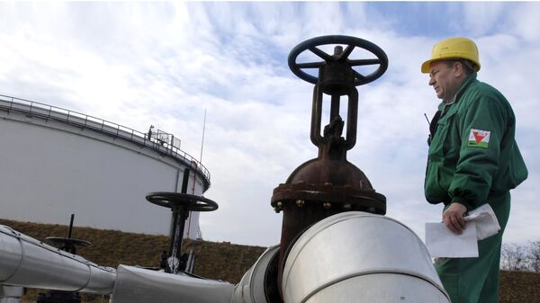 Инженер Венгерской нефтегазовой компании MOL проверяет приемную зону нефтепровода Дружба