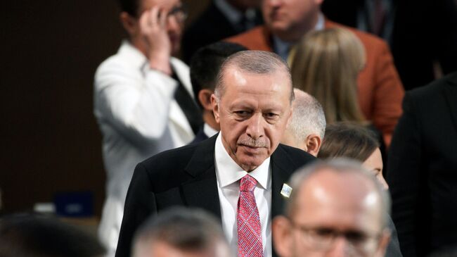 Президент Турецкой Республики Реджеп Тайип Эрдоган на саммите НАТО в Вашигтоне