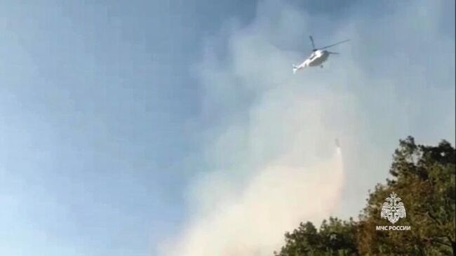 Лесной пожар под Новороссийском. Стоп-кадр видео