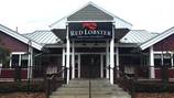 Multiple Orlando Red Lobster locations listed as ‘temporarily closed’