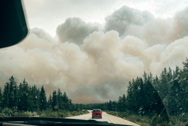 7월 중순 캐나다 퀘벡 주 북부 지역의 숲을 뒤덮은 산불 연기