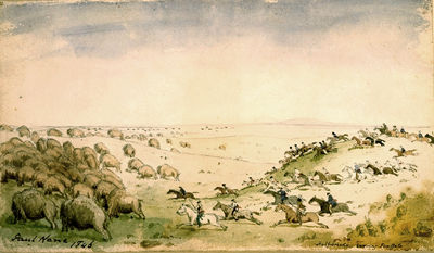 Métis Chasing the Buffalo Herd