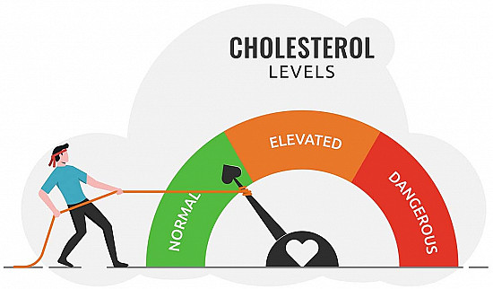 How low should LDL cholesterol go? featured image
