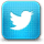 Light blue Twitter button icon