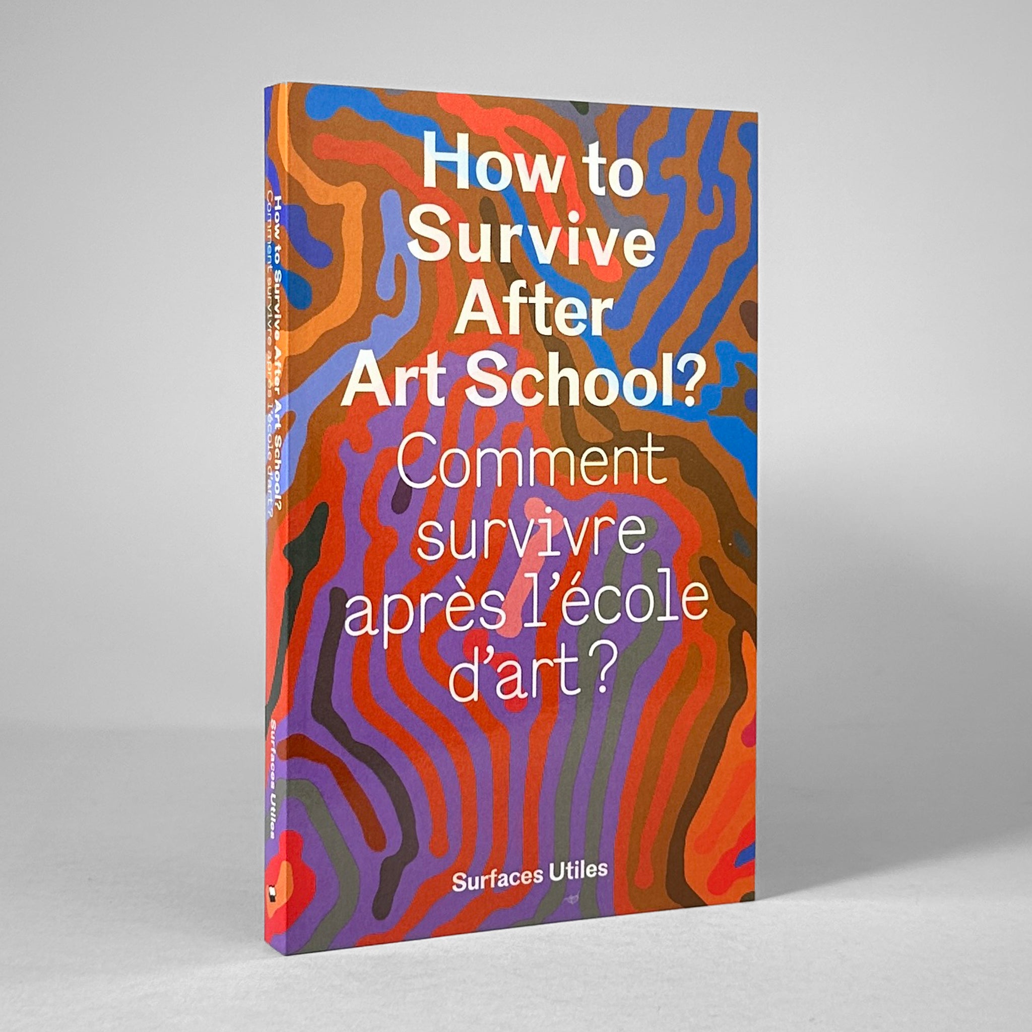 How to Survive After Art School