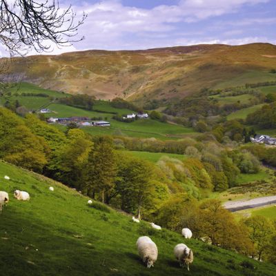 Farming and Textiles in Wales