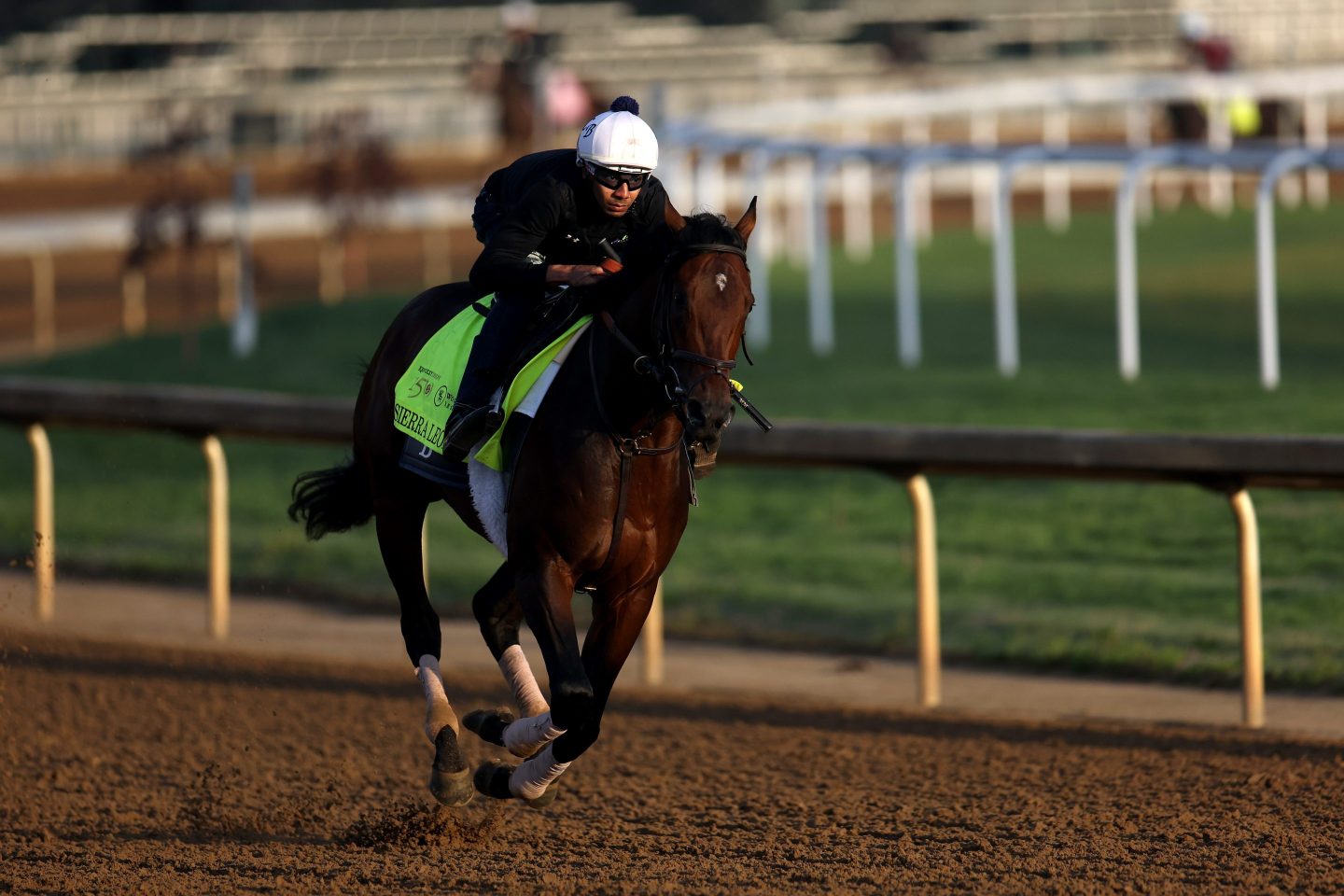 LOUISVILLE, KENTUCKY &#8211; MAY 02: Sierra Leone trains on the track during morning workouts ahead of the 150th running of the Kentucky Derby at Churchill Downs on May 02, 2024 in Louisville, Kentucky.  (Photo by Rob Carr/Getty Images)