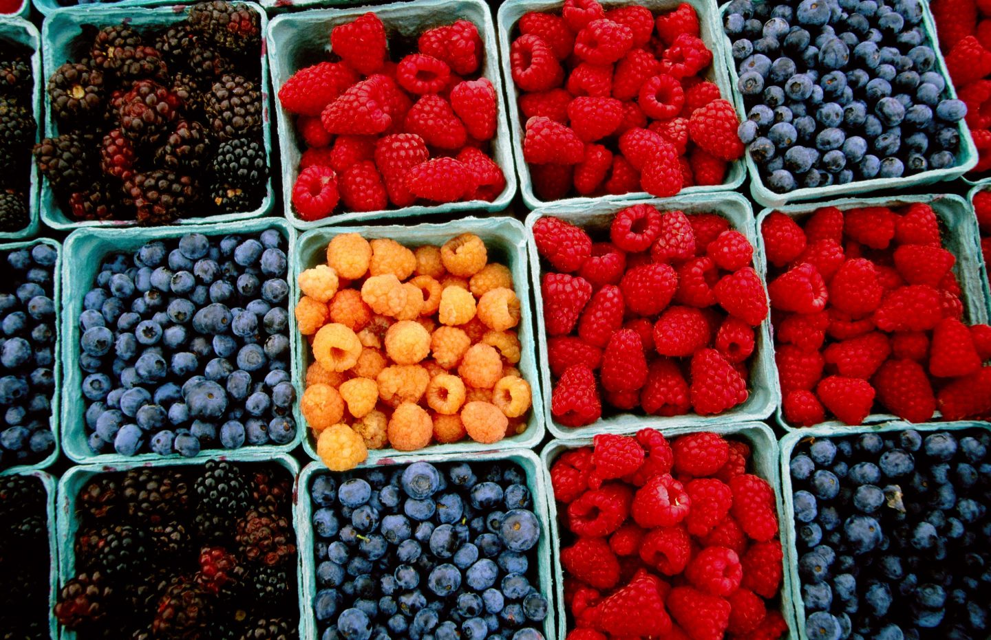 Raspberries, blueberries, and blackberries for sale at a farmers' market
