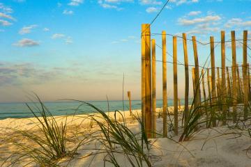 Grayton Beach State Park - Fence on the beach