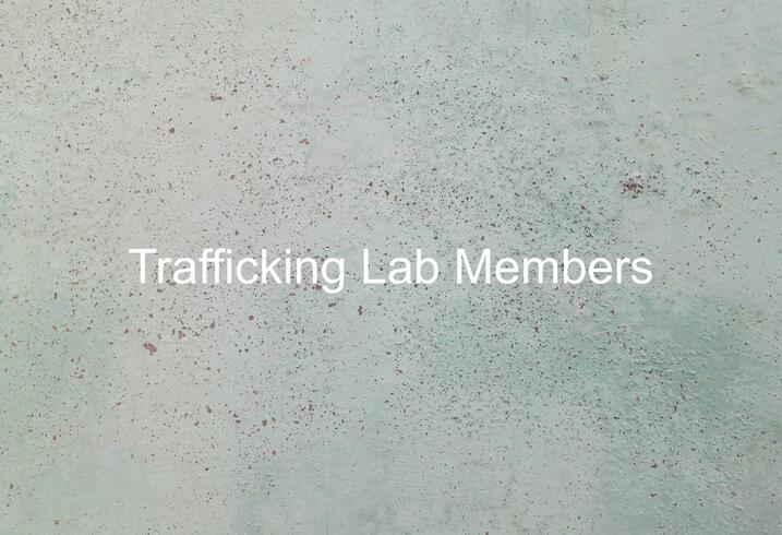 Stanford Human Trafficking Data Lab Ilustration
