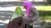 Women wearing hijabs in Tajikistan (file photo)