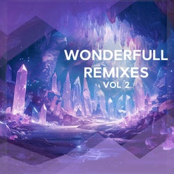 Wonderfull Remixes, Vol. 2