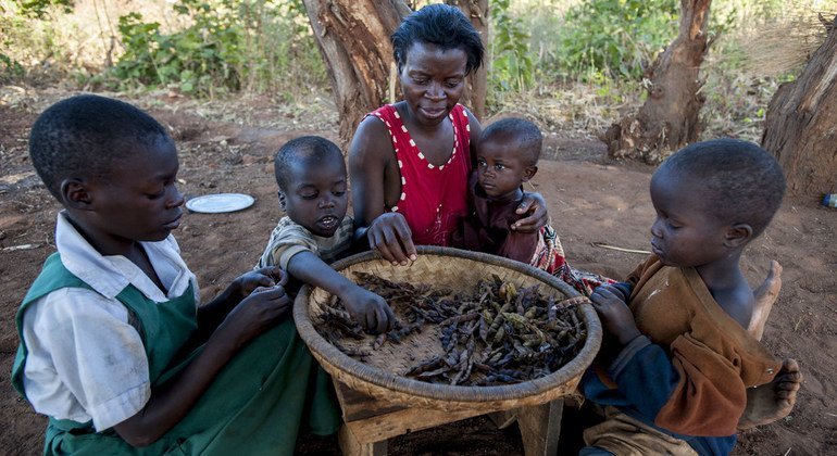 El 28 de junio de 2016, una familia de cuatro hermanos y su madre comen judías secas en su casa del distrito de Balaka, en Malawi.