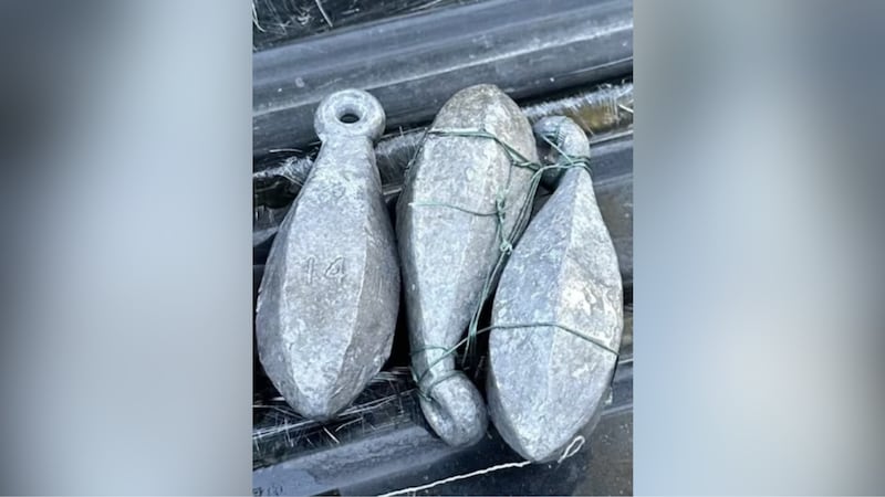 State officials say something wasn’t quite right when a fisherman turned in his catch during a...