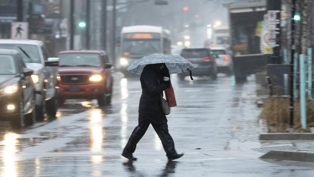 Sun then rain for the long weekend in Halifax. Here's when
