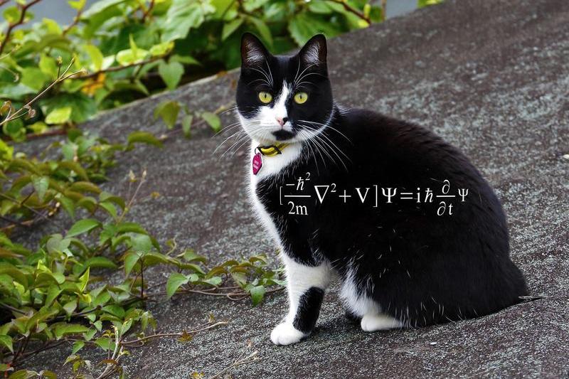 Ecuația lui Erwin Schrödinger, Foto: VICTOR DE SCHWANBERG / Sciencephoto / Profimedia
