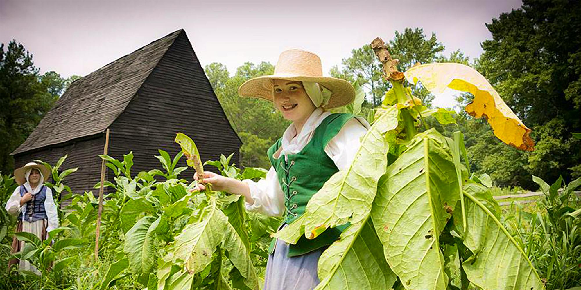 Visit the Godiah Spray Tobacco Plantation, representing a small farm in 1667.