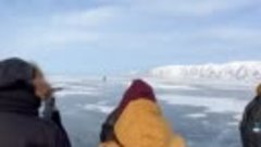 Зачем на льду Байкала стоят елочки?