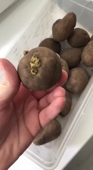 Крутой лайфхак с картошкой