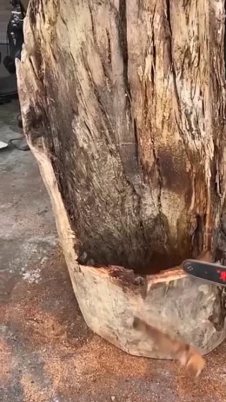 Сделали шедевр из старого дерева