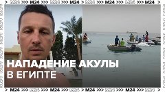 Нападение акулы на человека в Египте – Москва 24