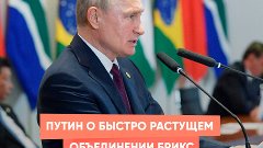 Путин о быстро растущем объединении БРИКС