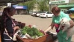 На рынках Красноярска начали продавать сезонные ягоды и фрук...