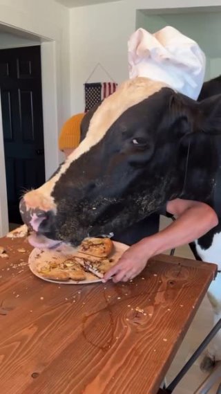 Жизнь с коровой в одном доме