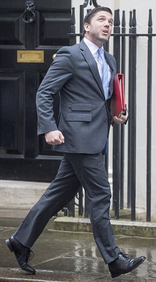 Stephen Crabb, pictured, and Chris Pincher were cleared by a panel headed by an independent QC of breaching the Conservatives' code of conduct
