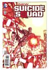 New Suicide Squad #11 (2015) DC Comics NM