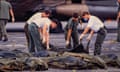 United States military personnel remove American bodies from Jonestown for repatriation back to the US